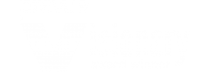 Visionary Logo