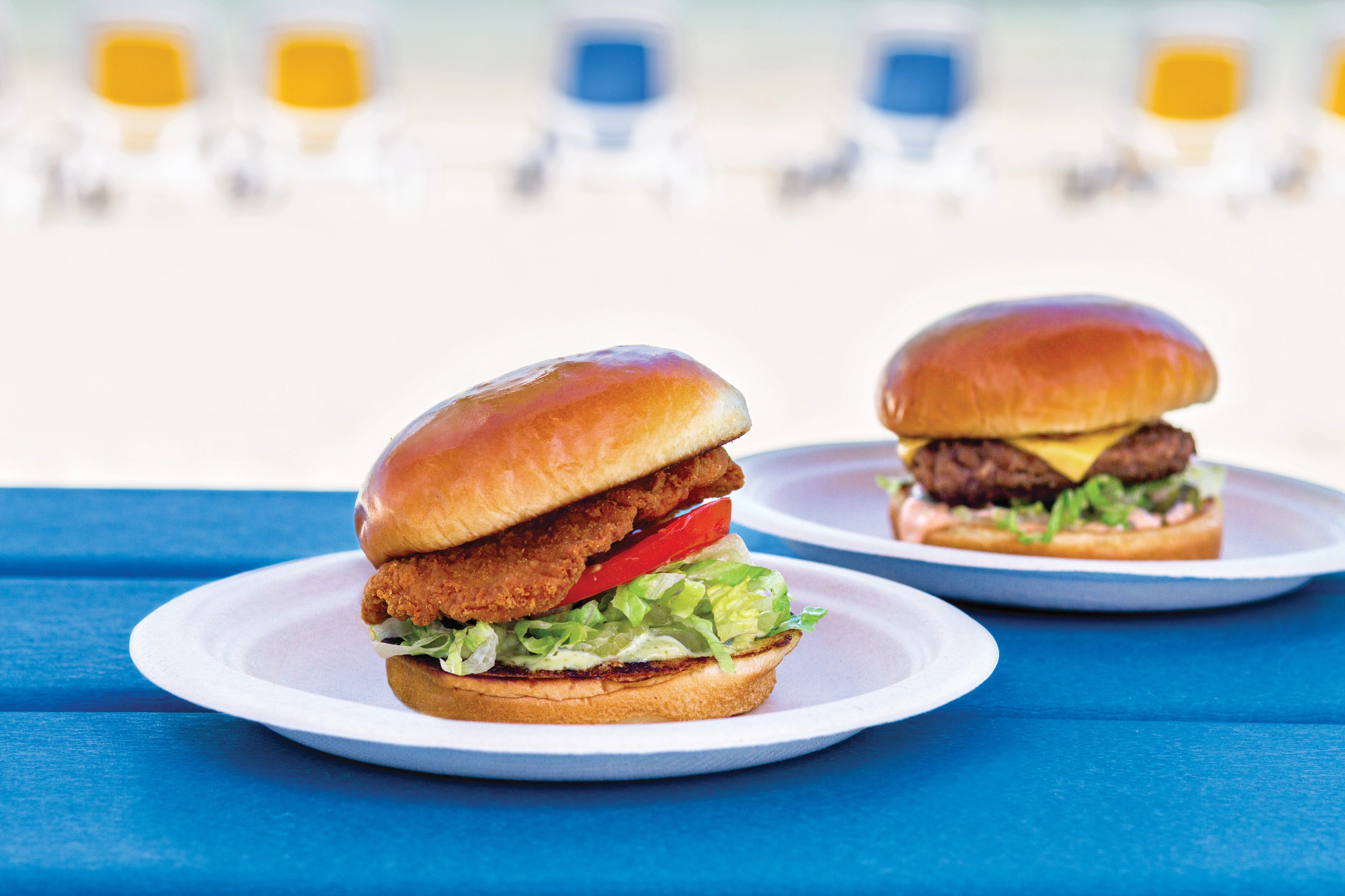 Burger and chicken burger