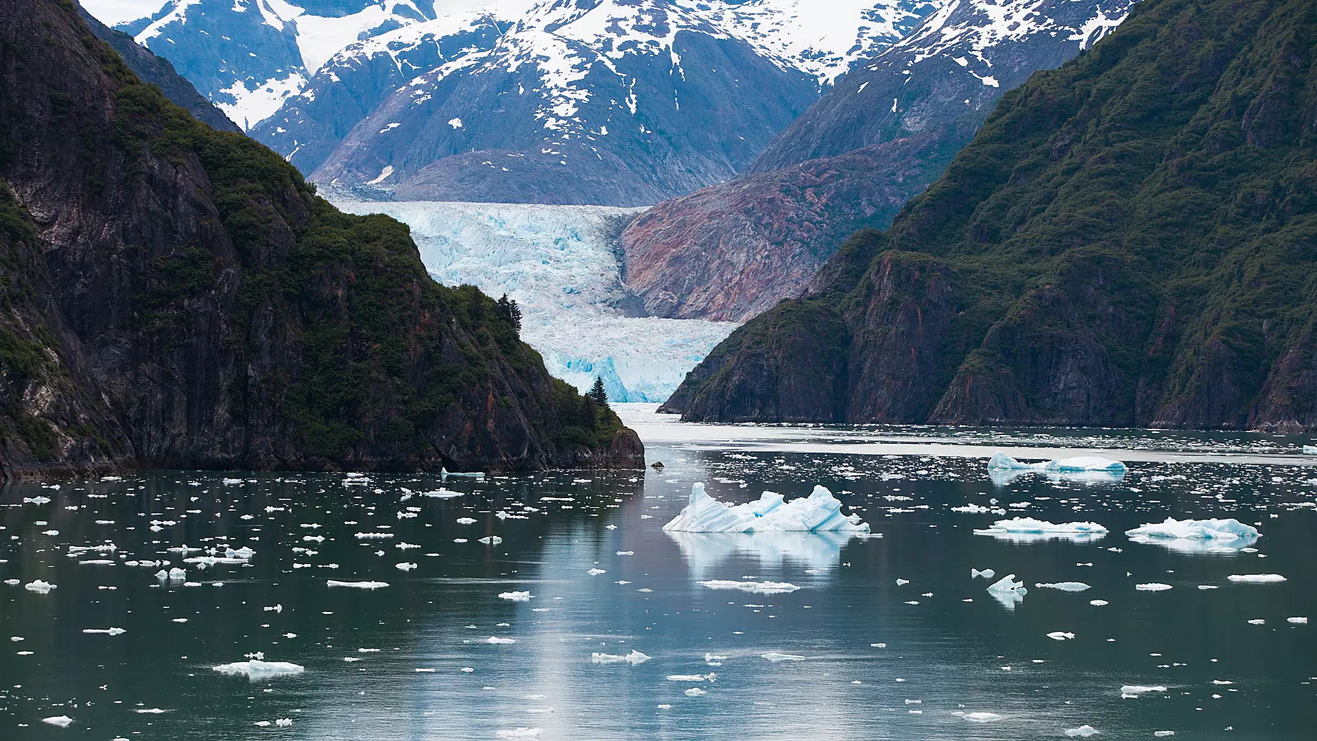 Alaska glacier and pine trees