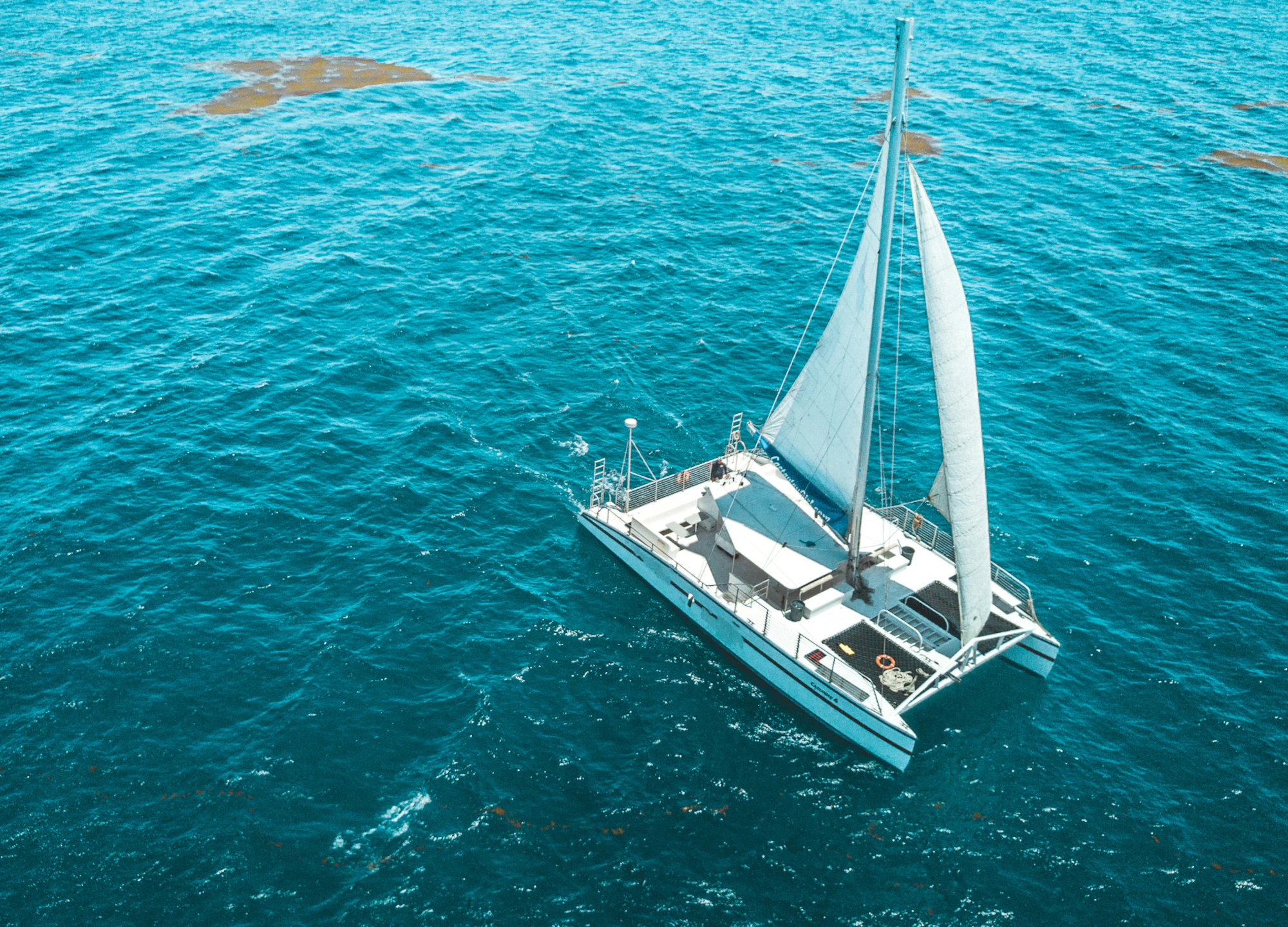 Catamaran sailing in ocean
