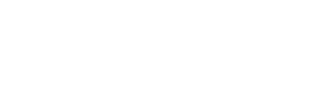 Perfect Day Mexico Logo