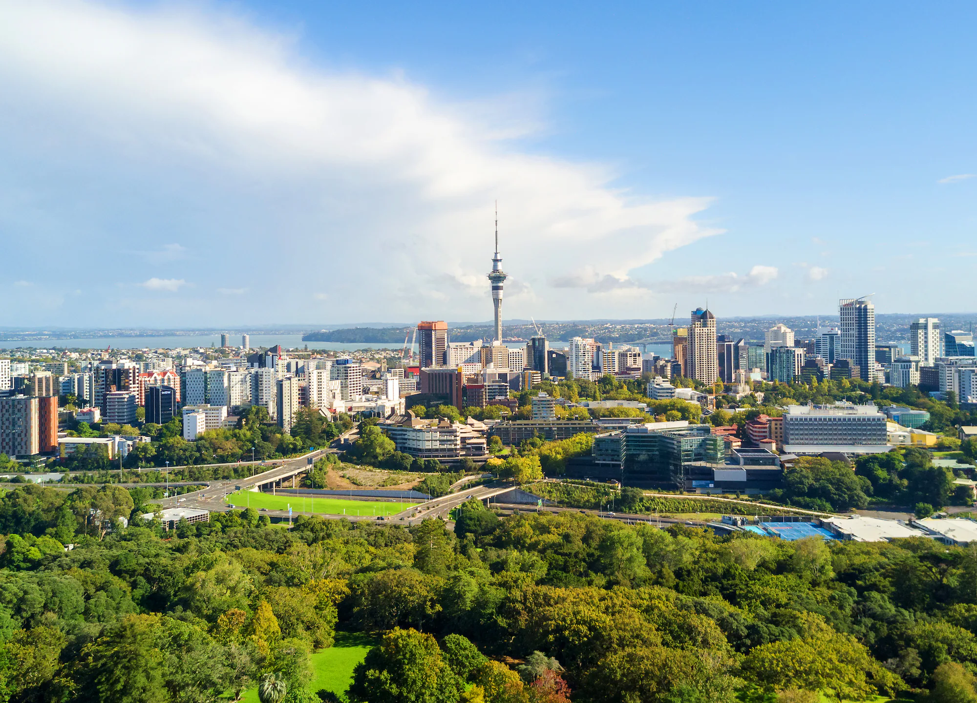 Auckland city center