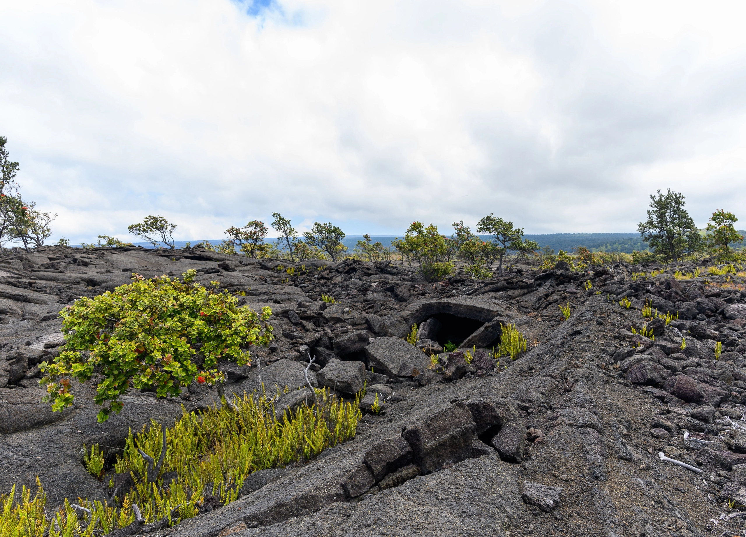 Hawaii volcanoes lava rocks